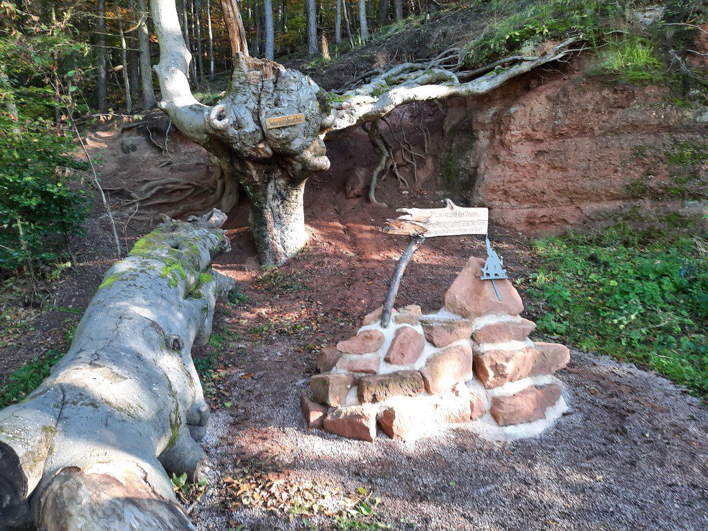 You are currently viewing 24.10.2021 Zur Hohlsteinhütte bei Münchweiler