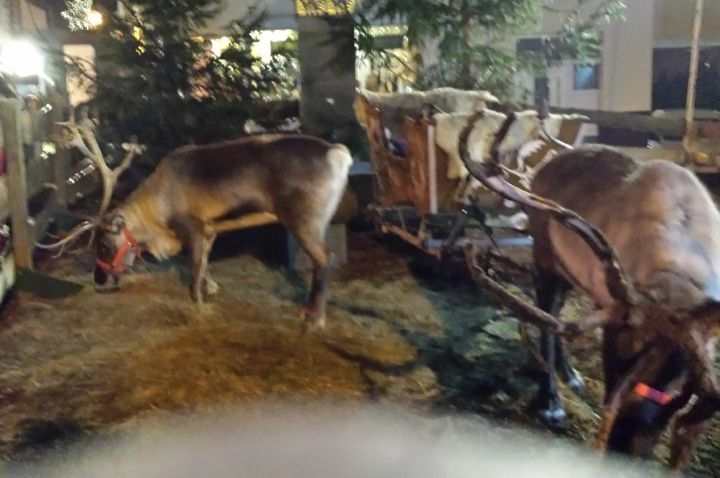 Du betrachtest gerade 10.12.2022, Sa., Fahrt zum Weihnachtsmarkt in St. Wendel