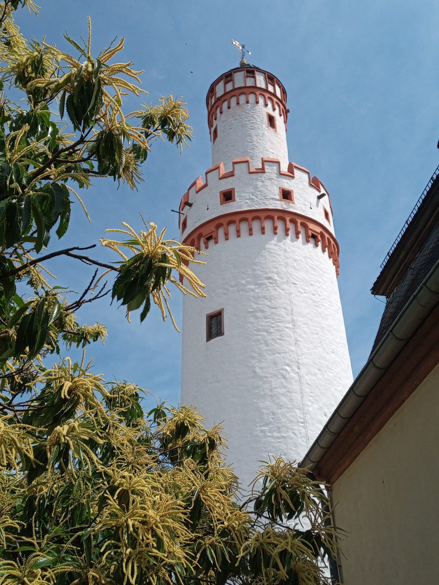 Du betrachtest gerade 10.09.2022, Sa., Vereinsausflug zum Hessenpark/Bad Homburg in Gemeinschaft mit der Ortsgruppe Hochspeyer (Voranmeldung und Auskünfte)