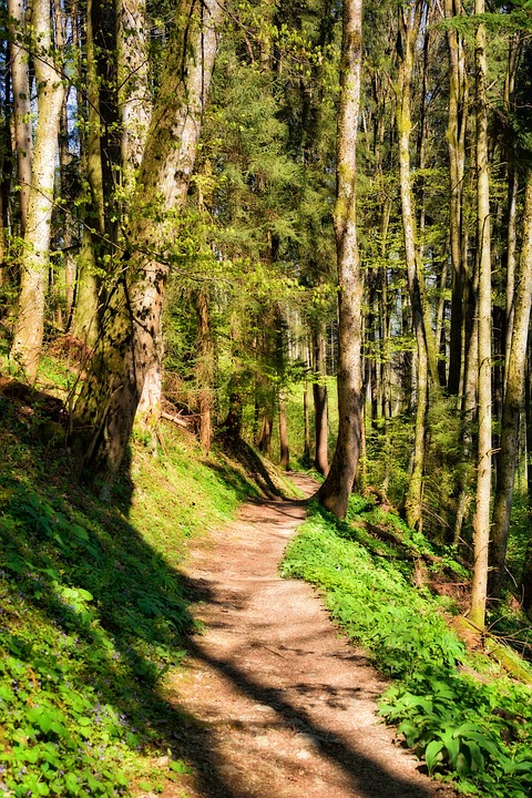 Mehr über den Artikel erfahren 20.11.2021 Wanderplanaufstellung 2022