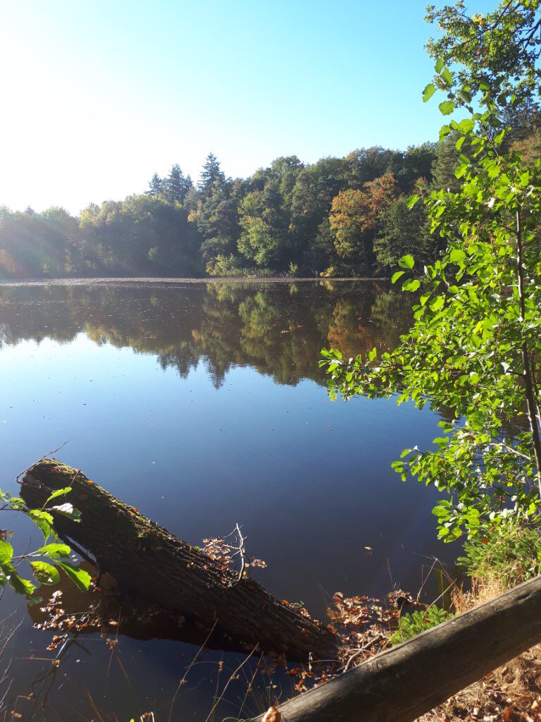 You are currently viewing 13.08.2023, So, Wanderung vom Retzbergweiher zum Pfrimmerhof