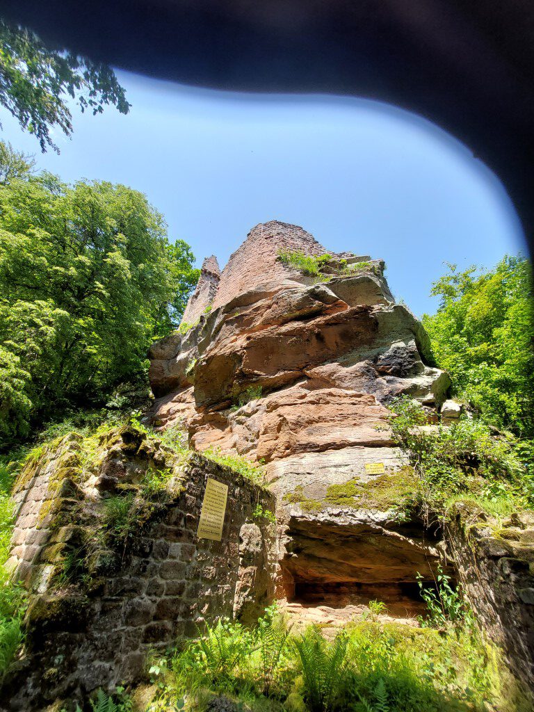 You are currently viewing 18.06.2023, So., Wanderung in der Wolfsschlucht, Elmsteinertal bei Breitenstein